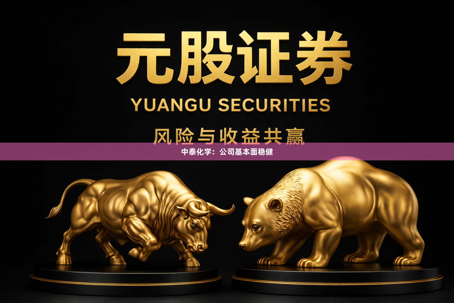 中泰化学：公司基本面稳健